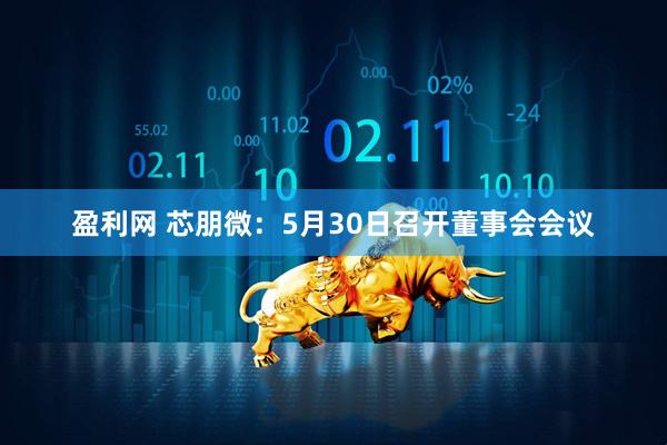 盈利网 芯朋微：5月30日召开董事会会议