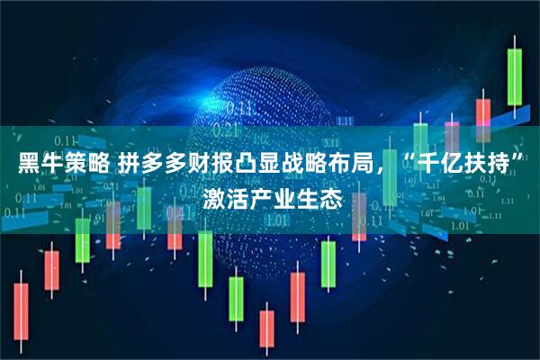 黑牛策略 拼多多财报凸显战略布局，“千亿扶持” 激活产业生态