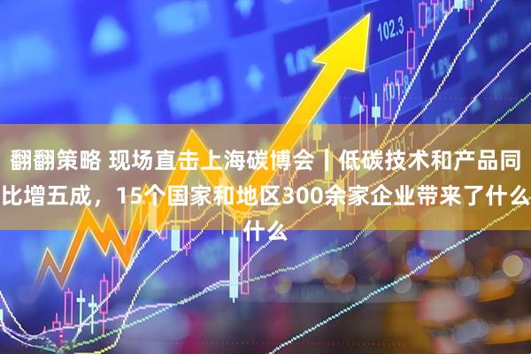 翻翻策略 现场直击上海碳博会｜低碳技术和产品同比增五成，15个国家和地区300余家企业带来了什么