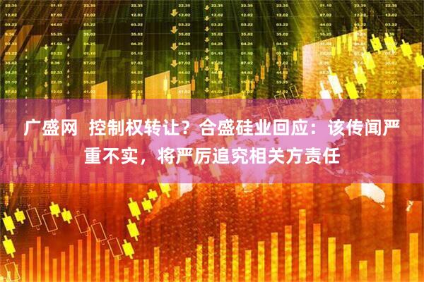 广盛网  控制权转让？合盛硅业回应：该传闻严重不实，将严厉追究相关方责任