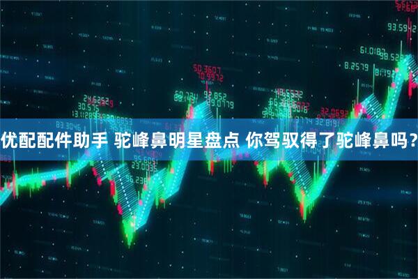 优配配件助手 驼峰鼻明星盘点 你驾驭得了驼峰鼻吗？