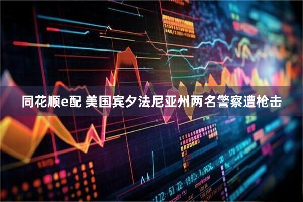 同花顺e配 美国宾夕法尼亚州两名警察遭枪击