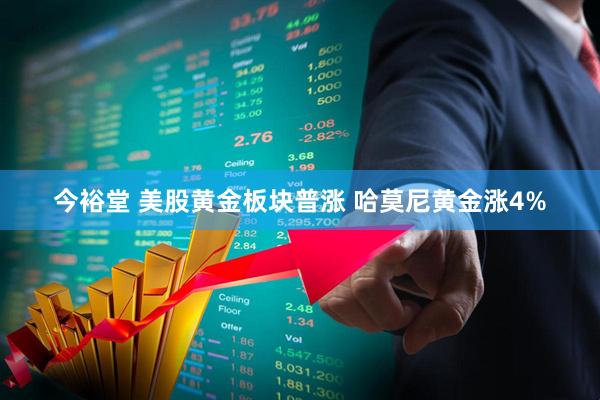 今裕堂 美股黄金板块普涨 哈莫尼黄金涨4%