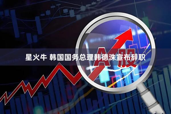 星火牛 韩国国务总理韩德洙宣布辞职