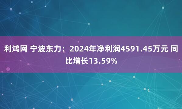 利鸿网 宁波东力：2024年净利润4591.45万元 同比增长13.59%